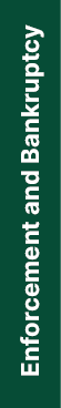 Enforcement and Bankruptcy
