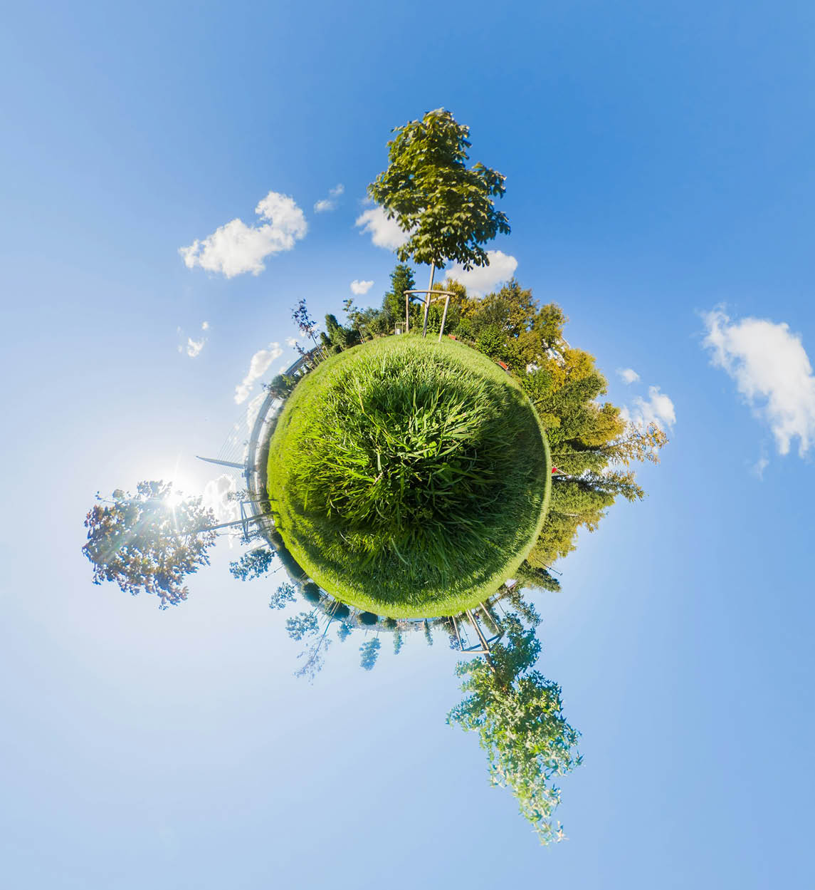 Grama verde densa com algumas plantas mais altas e finas crescendo entre as folhas. Yapay zeka taraf ndan olu turulan a  klama