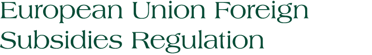 European Union Foreign Subsidies Regulation