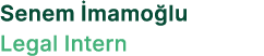 Senem mamo lu Legal Intern