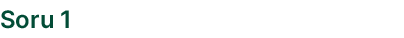 Soru 1